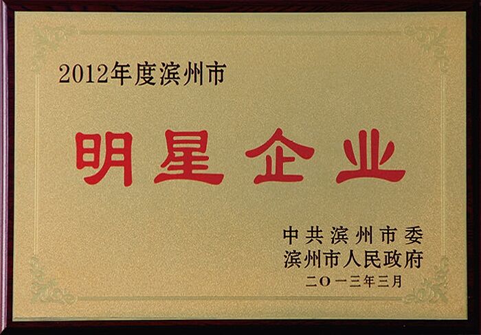 榮獲2012年度濱州市明星企業
